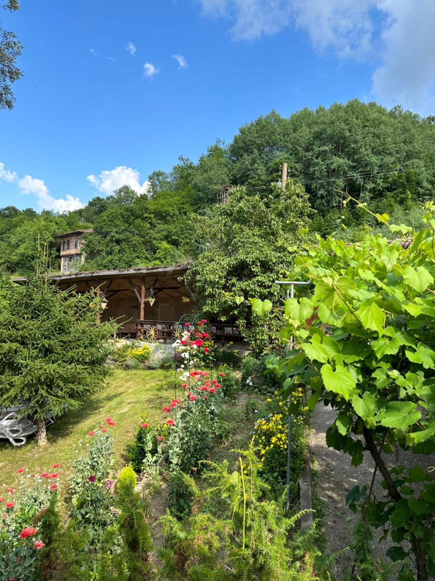 Вила Чевермето Palitsi Buitenkant foto