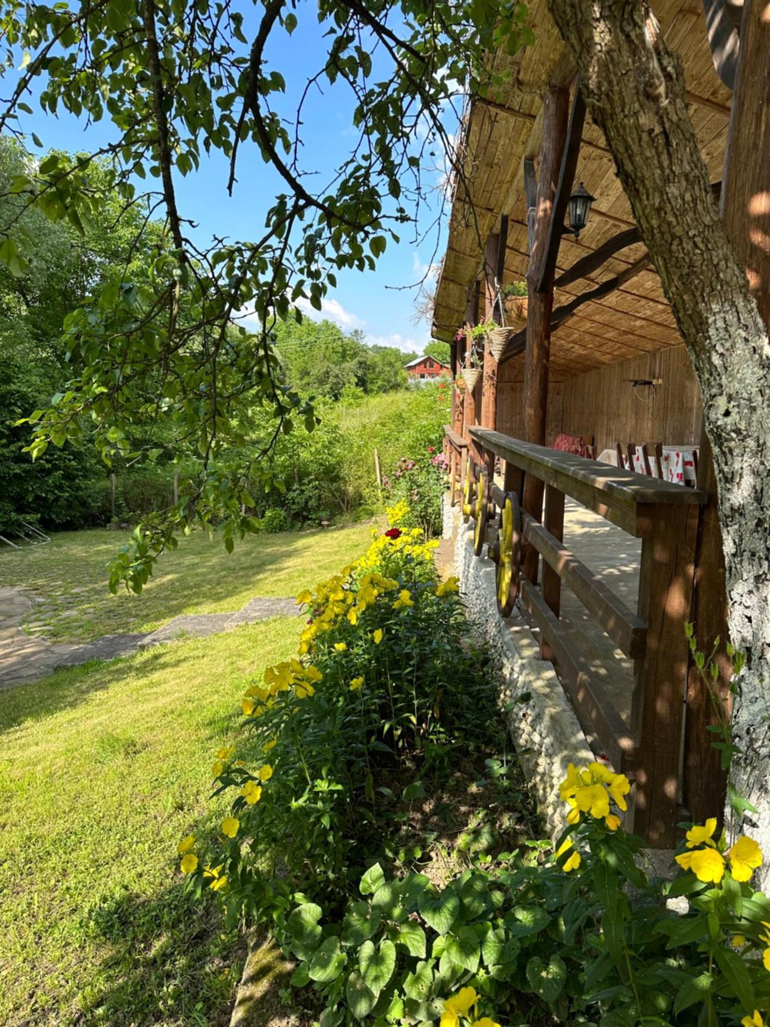 Вила Чевермето Palitsi Buitenkant foto